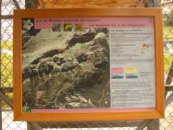 2013-08-18_Regina-F-Rau_Schachen_Alpengarten (805).JPG